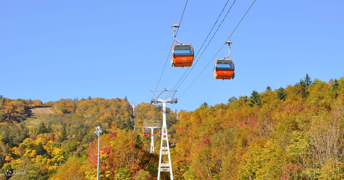 ⛷️ 삿포로 국제 스키장(삿포로 코쿠사이 스키조) 이미지 5